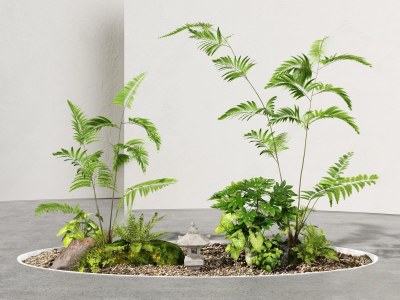 现代蕨类植物造景3D模型下载